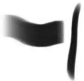 COREL Painter 2015 - Bords - 1