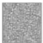 COREL Painter 2015 - Styles Aquarelle et interaction avec la texture du papier - 1