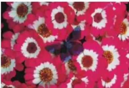 COREL Painter 2015 - Défaut - 2