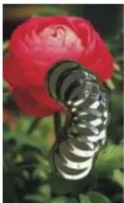 COREL Painter 2015 - Pour créer un plan dynamique Métal liquide - 5