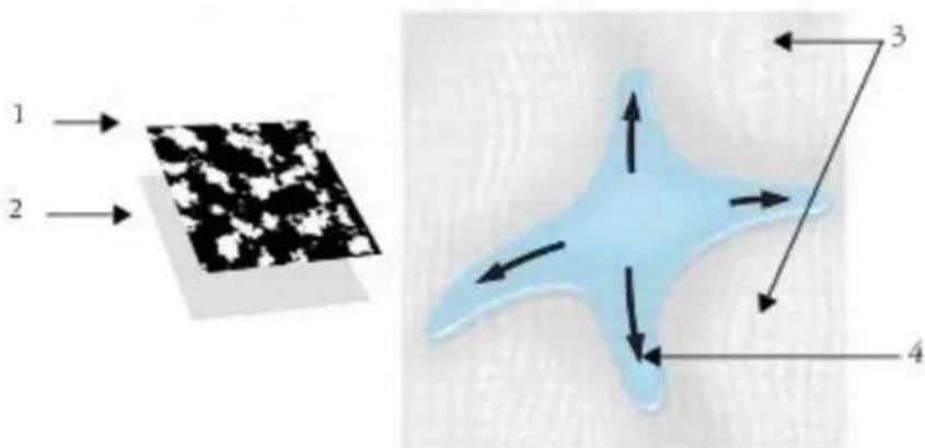 COREL Painter 2015 - Introduction aux cartes de flux - 1