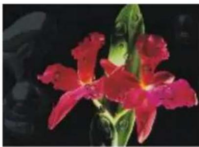 COREL Painter 2015 - Pour créer un plan dynamique Métal liquide - 7