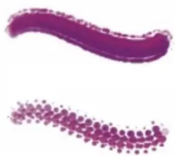 COREL Painter 2015 - Options de la zone Pas - 1