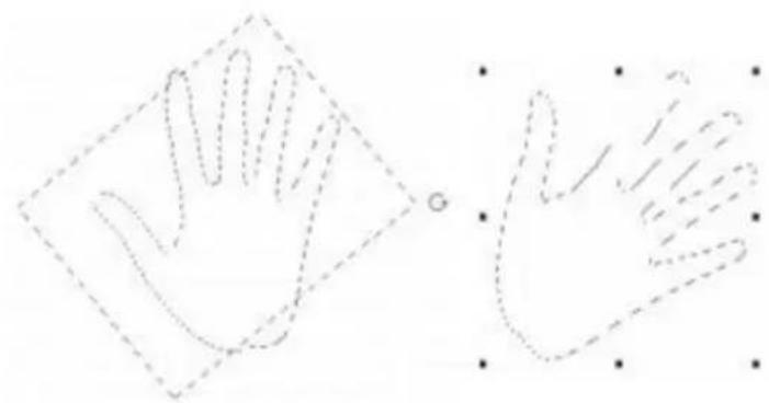 COREL Painter 2015 - Pour faire pivoter une sélection - 6