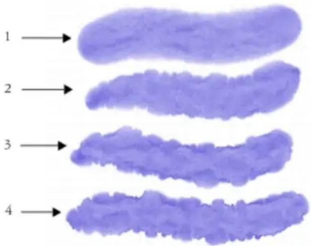 COREL Painter 2015 - Activation de cartes de flux et contrôle de la résistance au débit - 2