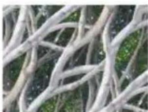 COREL Painter 2015 - Application de motifs de remplissage - 2