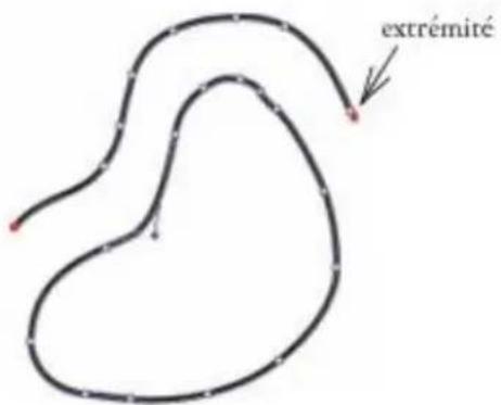 COREL Painter 2015 - Utilisation des lignes de Bézier - 2