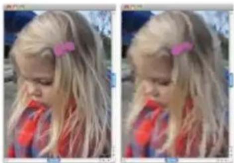 COREL Painter 2015 - Peinture automatique de photos - 1