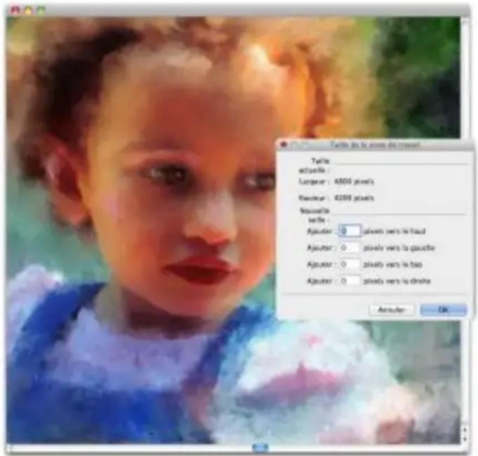 COREL Painter 2015 - Redimensionnement des images et de la zone de travail - 2