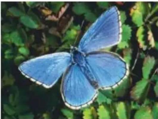 COREL Painter 2015 - Correction du gamma en mode Courbe - 1