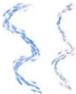 COREL Painter 2015 - Sélection d'une variante de style de tremblement - 1