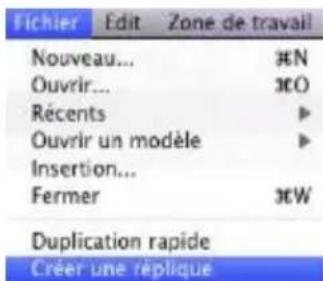 COREL Painter 2015 - Convention Description Exemple - 1