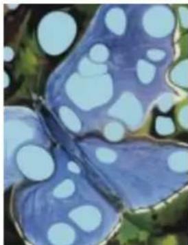 COREL Painter 2015 - Application de taches - 2