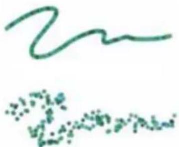 COREL Painter 2015 - Options des attributs de trait - 1