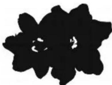 COREL Painter 2015 - Modification de canaux - 3