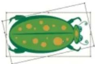 COREL Painter 2015 - Redimensionnement, rotation, inclinaison et application d'une symétrie aux formes - 2