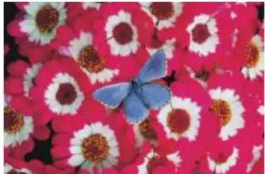 COREL Painter 2015 - Défaut - 1