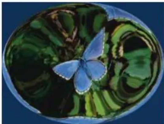 COREL Painter 2015 - Application d'un effet Torsion - 2