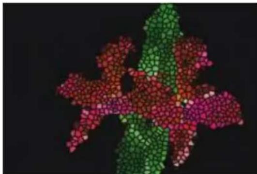 COREL Painter 2015 - Création de tesselles - 2