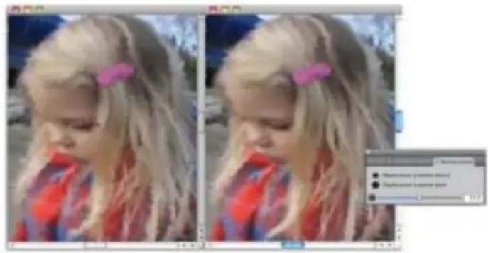 COREL Painter 2015 - Rétablir les détails d'une peinture - 1