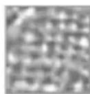 COREL Painter 2015 - Styles Aquarelle et interaction avec la texture du papier - 2