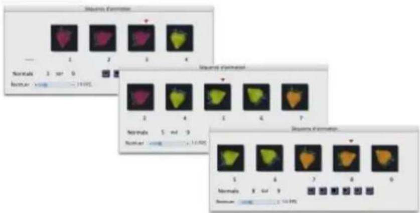 COREL Painter 2015 - Pour créer un fichier de jets de rang 2 à partir d'une animation - 1