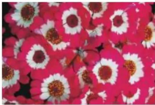 COREL Painter 2015 - Luminosité - 1