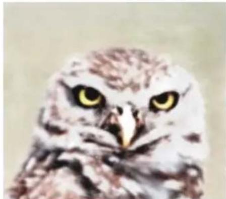 COREL Painter 2015 - Combinaison de sélections lors de l'enregistrement ou du chargement de canaux alpha - 1