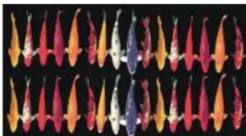 COREL Painter 2015 - Rangs et règles d'indexation - 3