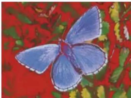 COREL Painter 2015 - Spécification des valeurs de la courbe pour corriger les couleurs - 2