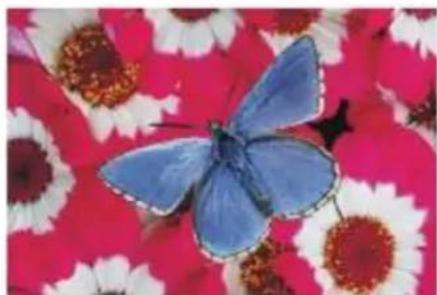 COREL Painter 2015 - Masques de plan et canaux - 1