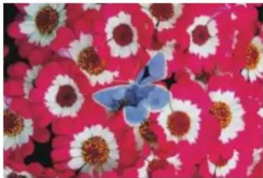 COREL Painter 2015 - Teinte - 3