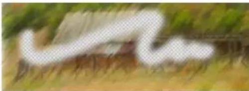 COREL Painter 2015 - Options de la zone Général : Méthodes et sous-catégories - 3