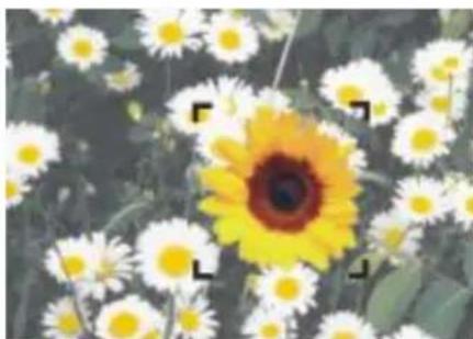 COREL Painter 2015 - Affichage des indicateurs de plan - 1