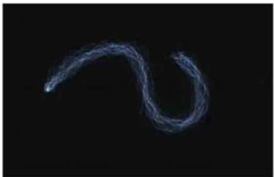 COREL Painter 2015 - Options des styles de particules à attraction magnétique - 2