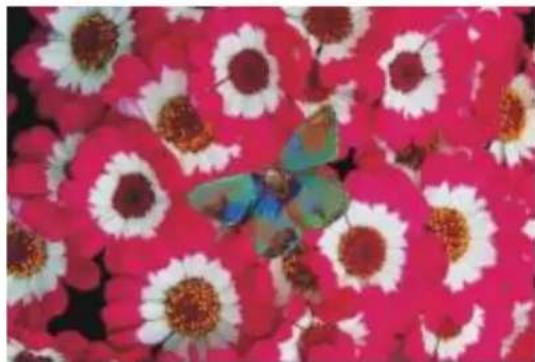 COREL Painter 2015 - Assombrir - 3