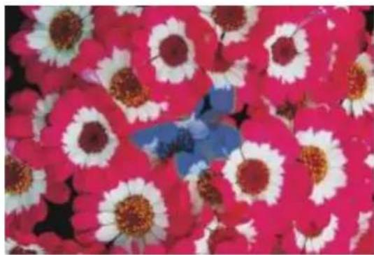 COREL Painter 2015 - Texture d'ombrage - 1