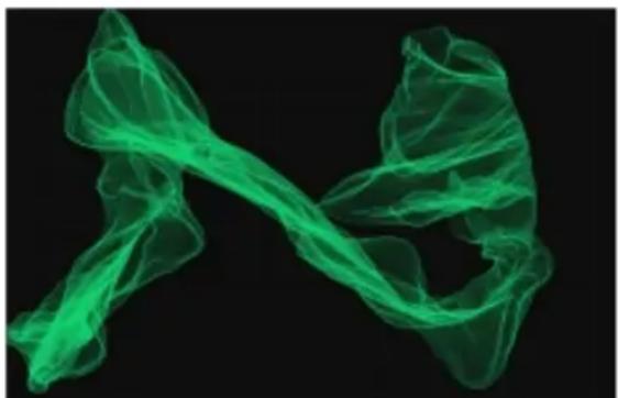 COREL Painter 2015 - Options des styles de particules à ressort - 7