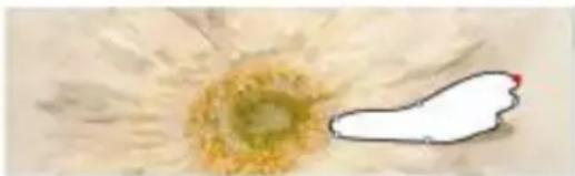 COREL Painter 2015 - Pour dessiner une forme à main levée - 2