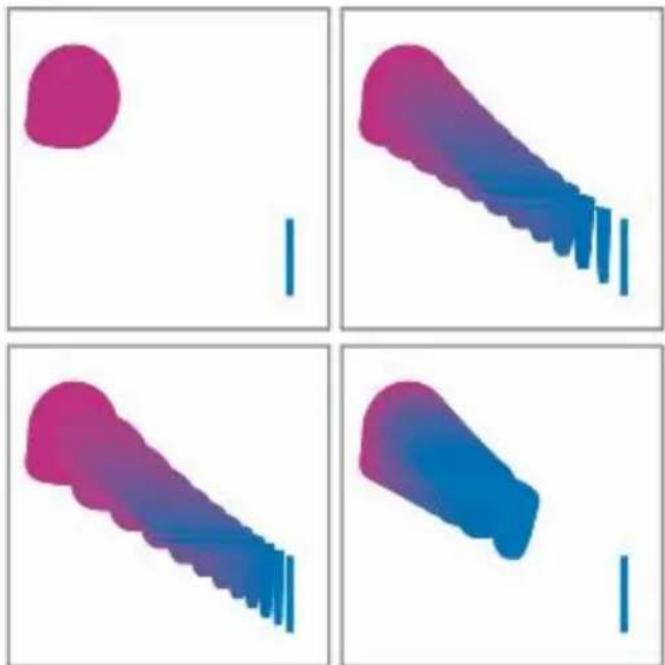 COREL Painter 2015 - Pour effectuer un fondu de formes - 1