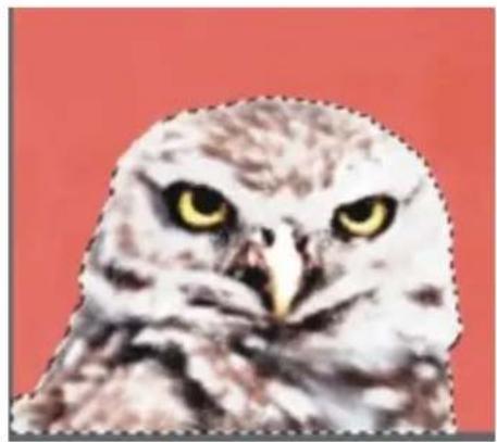 COREL Painter 2015 - Combinaison de sélections lors de l'enregistrement ou du chargement de canaux alpha - 3