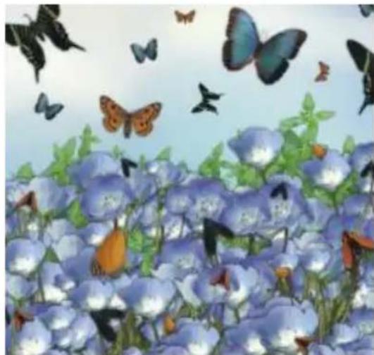 COREL Painter 2015 - Création d'un fichier de jets de rang 1 - 1