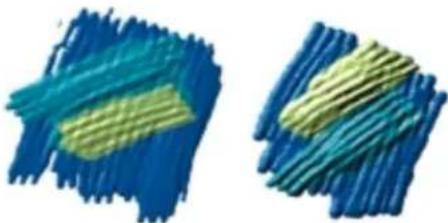 COREL Painter 2015 - Expression - 1