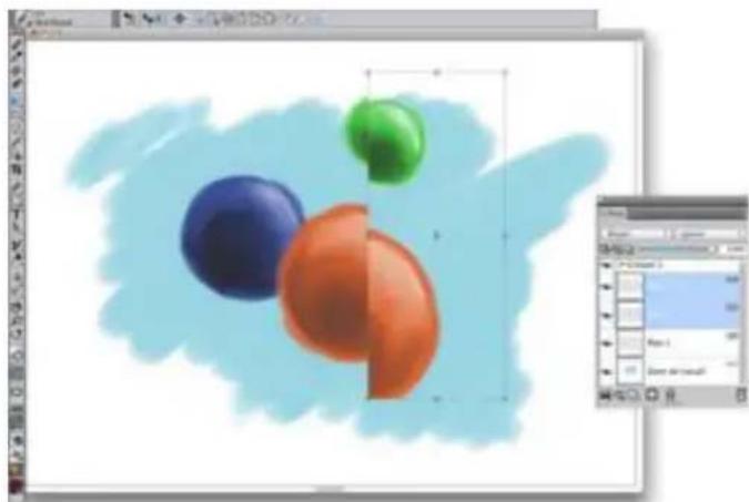 COREL Painter 2015 - Transformation de plans - 2