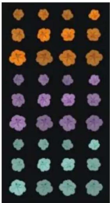 COREL Painter 2015 - Création de fichiers de jets : 1, 2 ou 3 rangs - 3