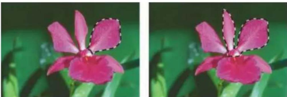 COREL Painter 2015 - Pour ajouter une zone à la sélection - 2