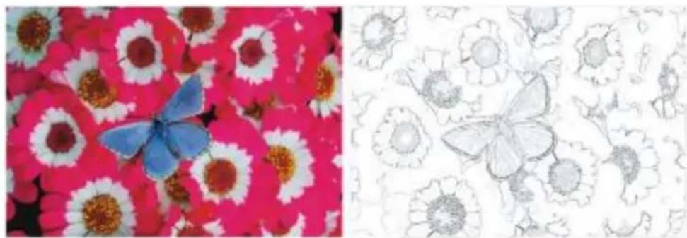 COREL Painter 2015 - Application de l'effet Croquis - 1