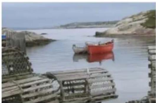 COREL Painter 2015 - Remplacement des couleurs d'une image par des couleurs de dégradé - 1