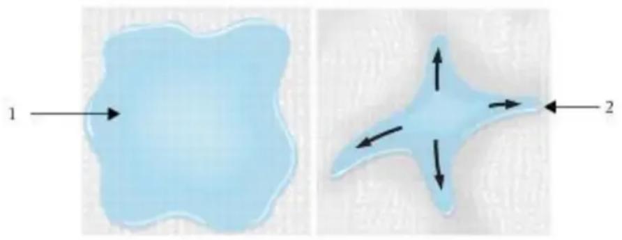 COREL Painter 2015 - Activation de cartes de flux et contrôle de la résistance au débit - 1