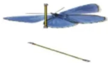 COREL Painter 2015 - Pour faire pivoter et redimensionner la source de l'échantillon - 1